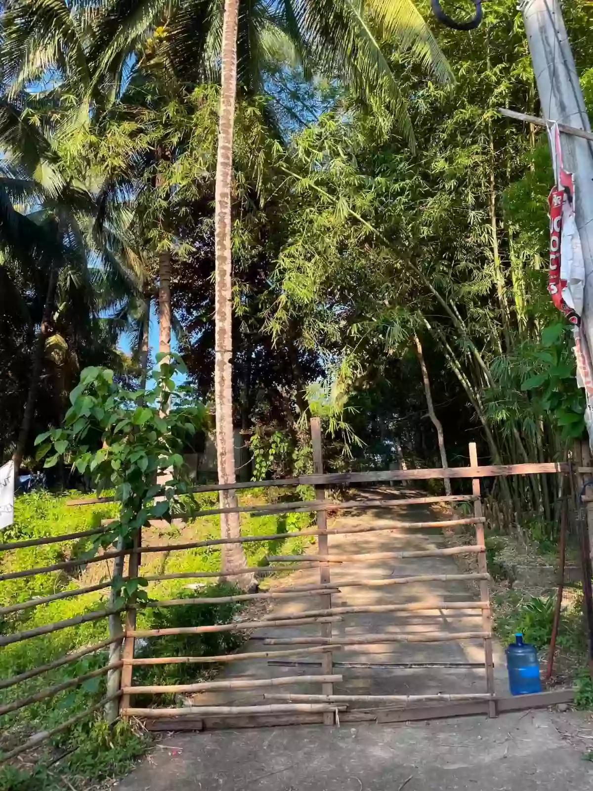 TAGUANAO LOT FOR SALE — Residential Lot in Indahag, Cagayan de Oro City, Misamis Oriental — Photo 3