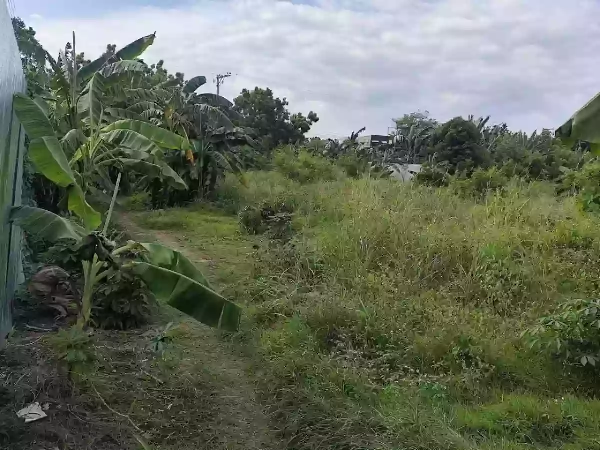 Open photo 11 of 18 — Lot for Sale near CCLEX Access Road