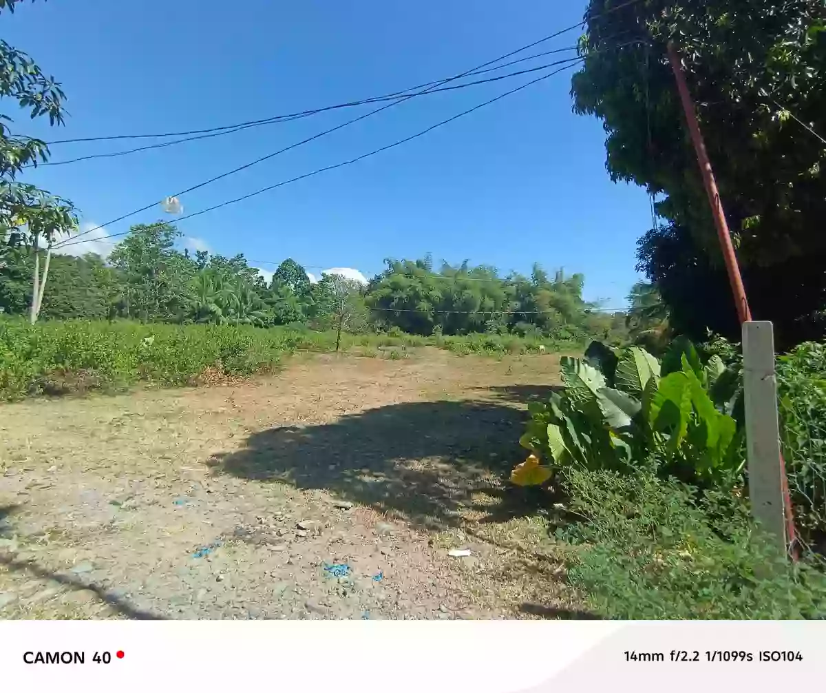 For Sale: Magatas Residential Lot in Sibulan, Negros Oriental — 3058 sqm — Residential Lot in Sibulan, Negros Oriental, 6201 — Photo 5