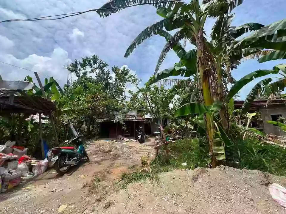 For Sale: Residential Lot in San Juan, Alegria — 100 sqm — Residential Lot in Alegria, Surigao del Norte, 8425 — Photo 3