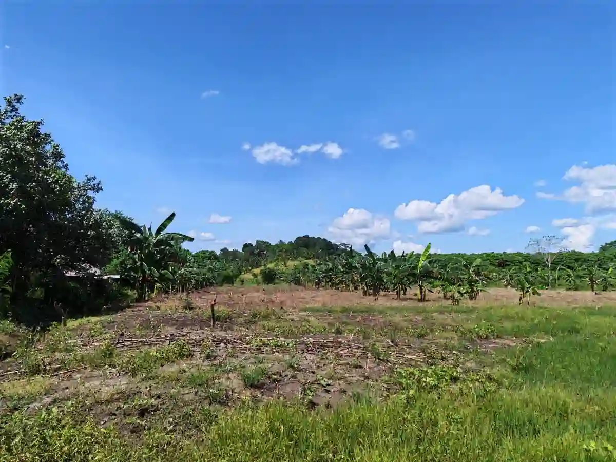 FARM LOT in Balagunan, Santo Tomas Davao Del Norte — 58,712 sqm