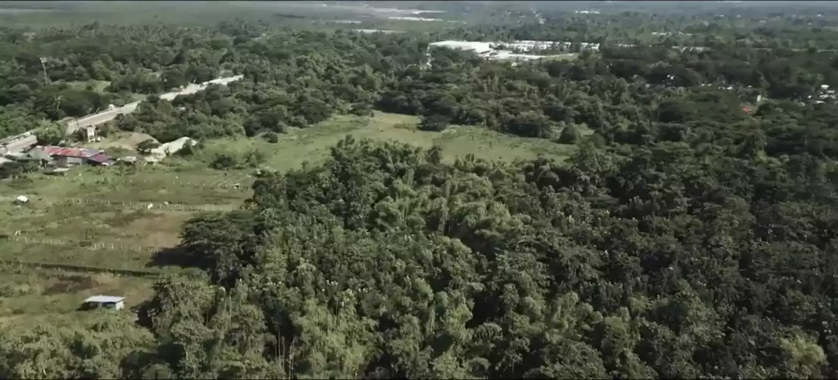 For Sale: Agricultural Lot in Tagburos, Puerto Princesa City — 292,567 sqm — Agricultural Lot in Puerto Princesa City, Palawan, 5300 — Photo 3