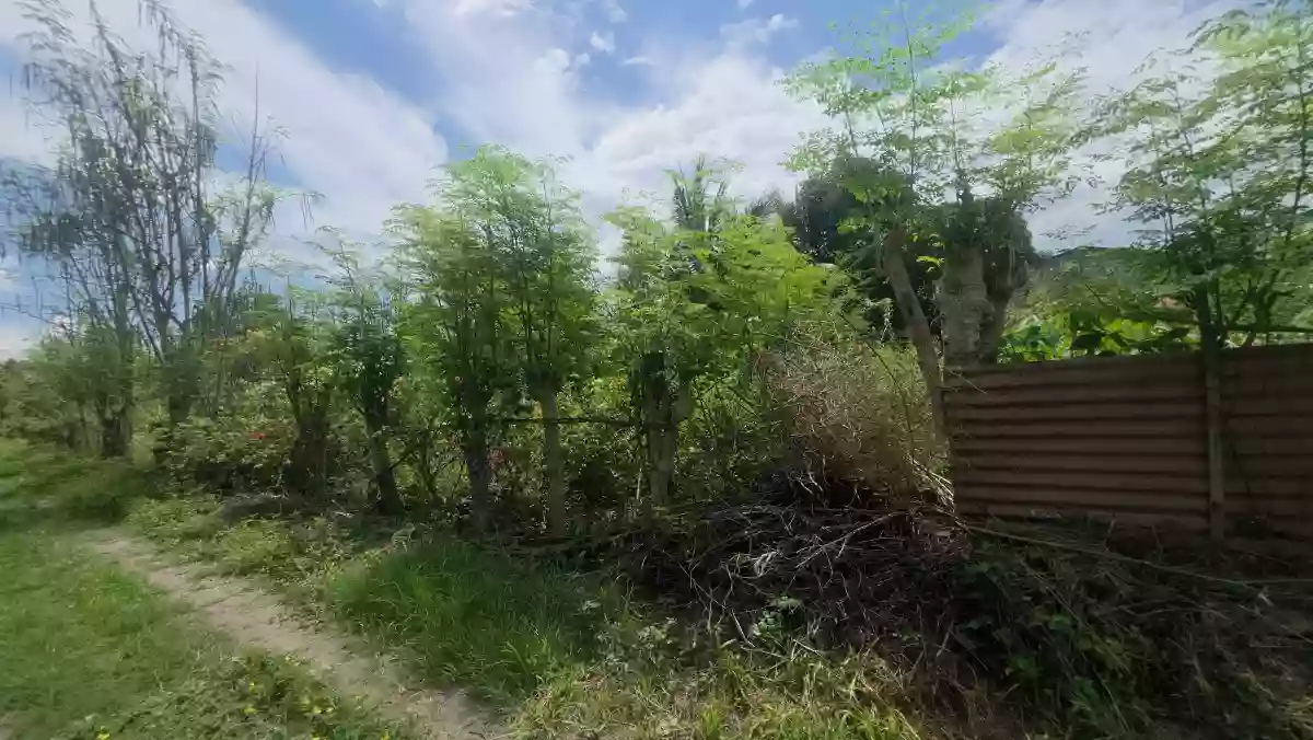 Residential Lots for Sale