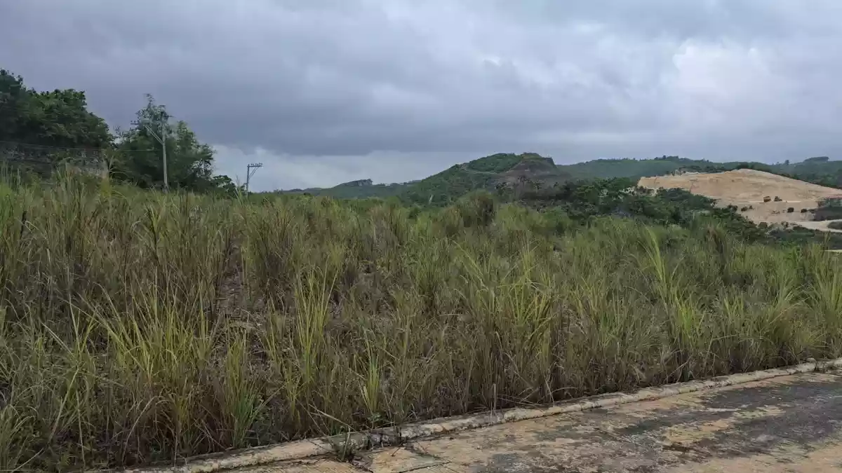 For Sale: Residential Lot Near Discovery Hills, Liloan — 200 sqm — Residential Lot in Liloan, Cebu, 6002 — Photo 3