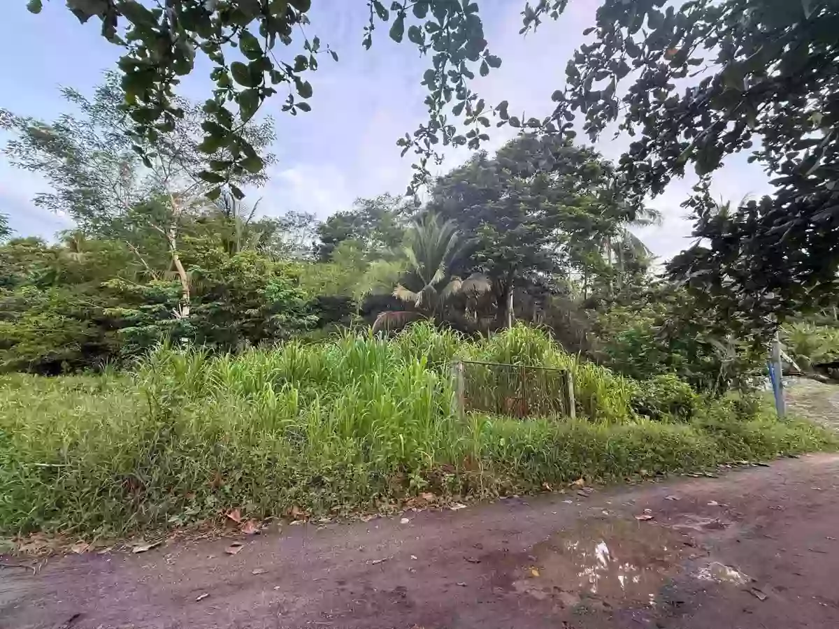 For Sale: Agricultural Lot in Poctoy, Surigao City — 15058 sqm