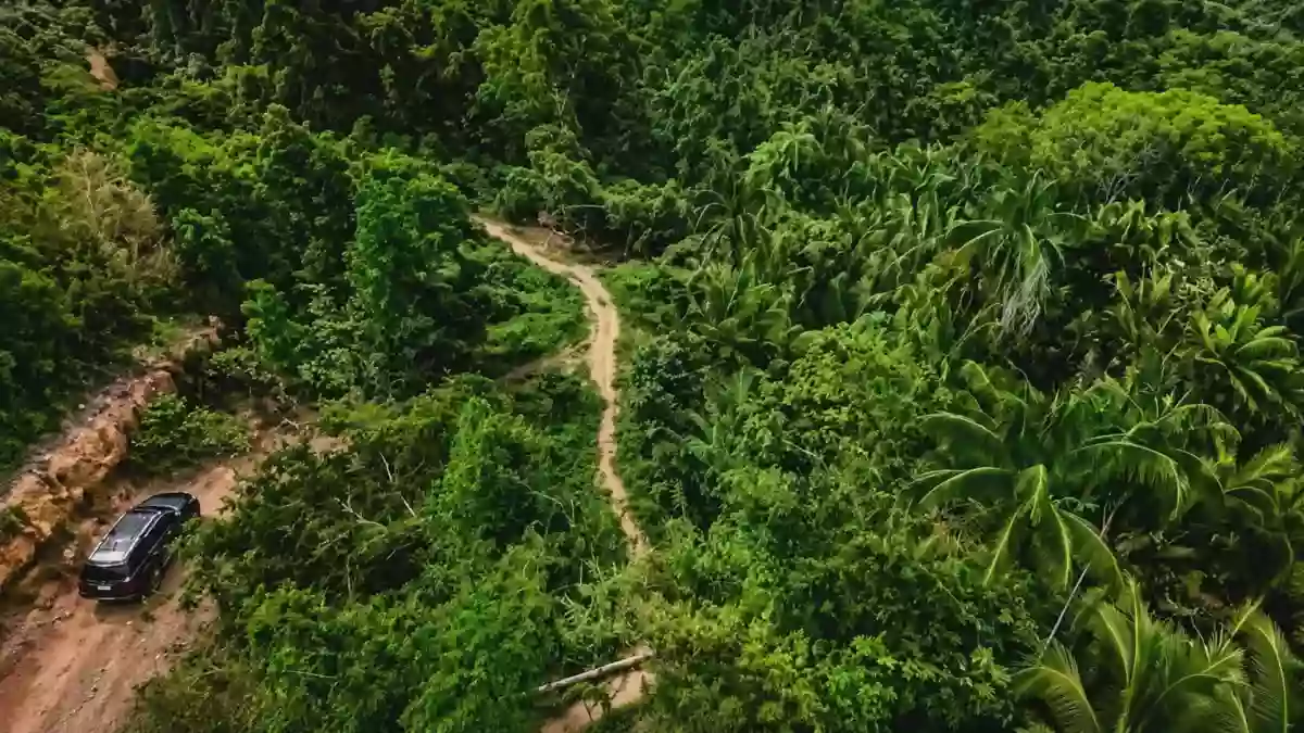 Prime Beachfront Titled Property for Sale | 11,000 SQM | Brgy. Bebeladan, El Nido, Palawan — Beach Lot in Bebeladan, El Nido (Baquit), Palawan — Photo 7