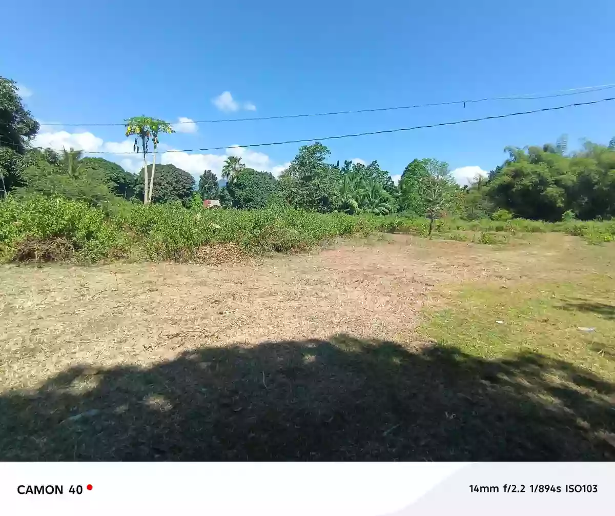 For Sale: Magatas Residential Lot in Sibulan, Negros Oriental — 3058 sqm — Residential Lot in Sibulan, Negros Oriental, 6201 — Photo 4