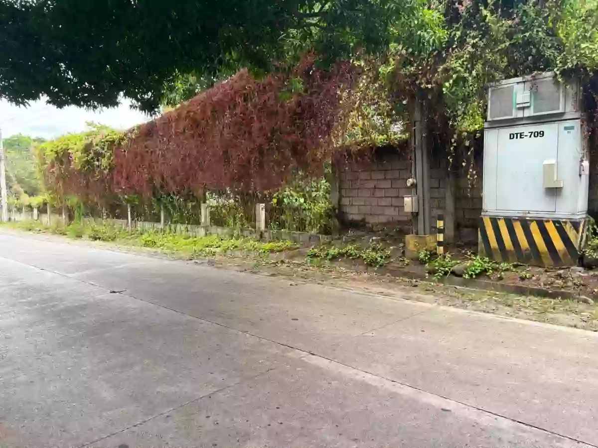 For Sale Commercial Lot in Banilad, Dumaguete City 3104 sqm — Commercial Lot in Dumaguete City, Negros Oriental, 6200 — Photo 5