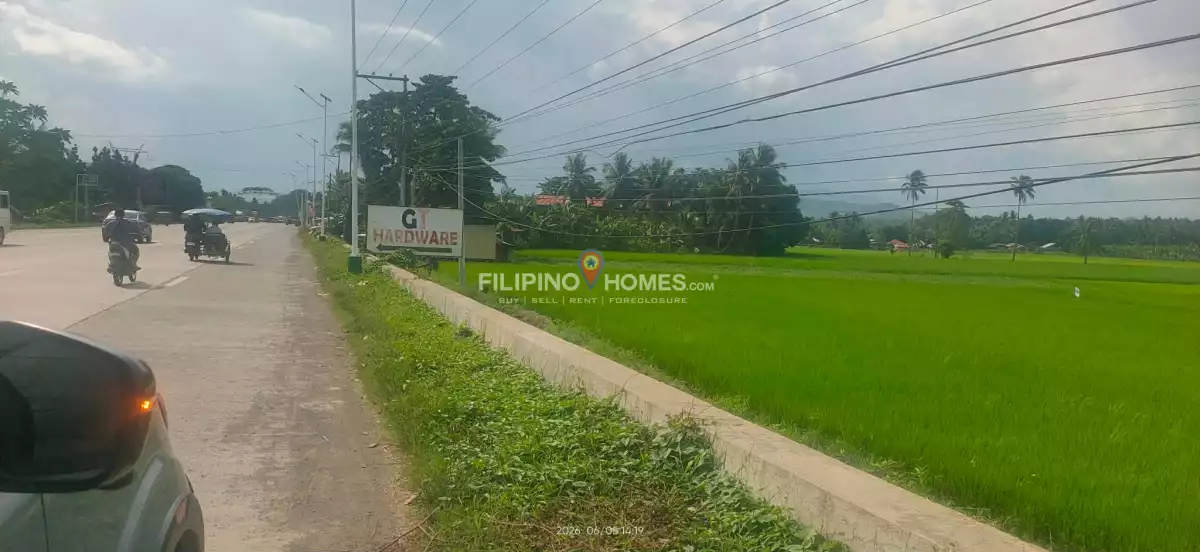 For Sale: Agricultural Lot in Villarica, Midsayap — 78372 sqm — Agricultural Lot in Midsayap, Cotabato, 9410 — Photo 4