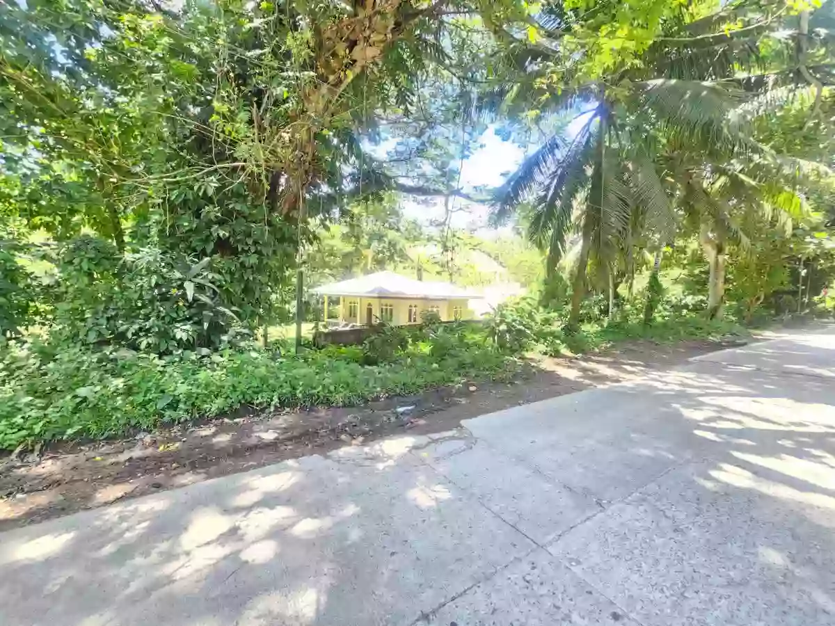 HOUSE and LOT — House and Lot in San Jose, Negros Oriental, 6202 — Photo 5