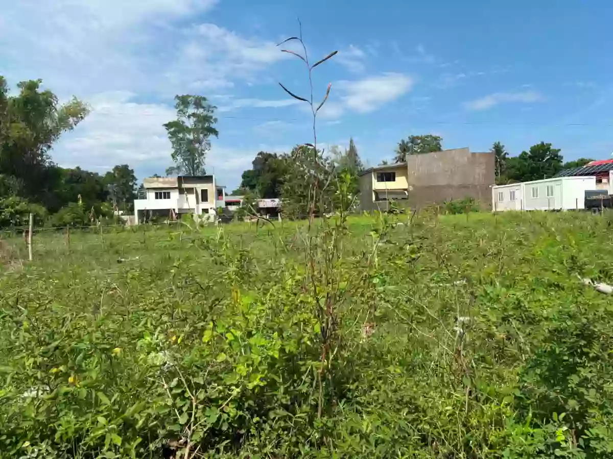 For Sale: Residential Lot in Batinguel, Dumaguete City — 150 sqm — Residential Lot in Dumaguete City, Negros Oriental, 6200 — Photo 2