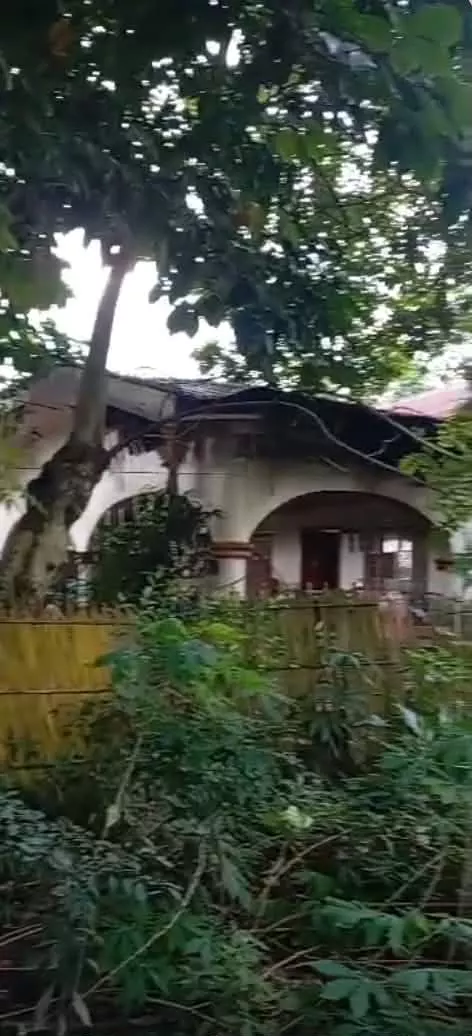 For Sale: 3BR House and Lot in Cannery Site, Polomolok — 839 sqm — House and Lot in Cannery Site, Polomolok, South Cotabato — Photo 2