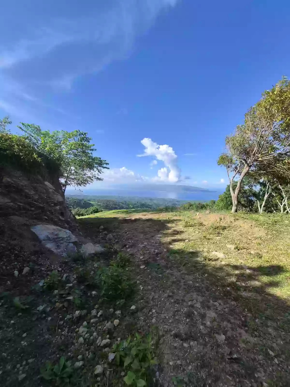 For Sale: Overlooking Lot in San Antonio, Sibulan — 338 sqm — Residential Lot in Sibulan, Negros Oriental, 6201 — Photo 3