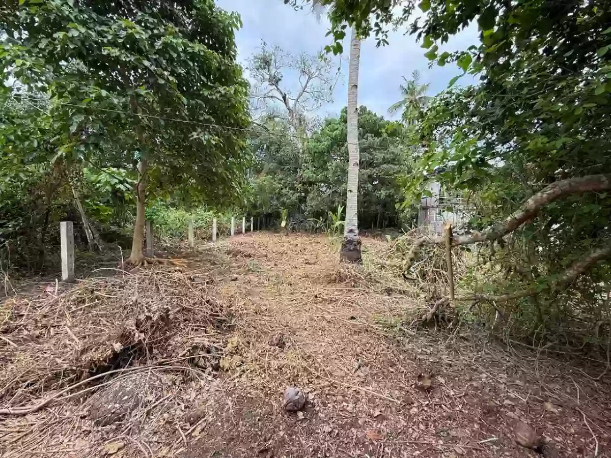 For Sale: Agricultural Lot in Poblacion, Naawan — 1299 sqm