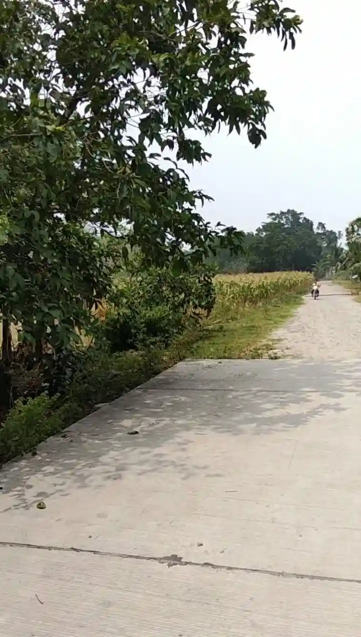 For Sale: Commercial Lot Near Dumaguete Public Fruit Market, Dumaguete City — 12684 sqm — Commercial Lot in Cantil-e, Dumaguete City, Negros Oriental — Photo 3