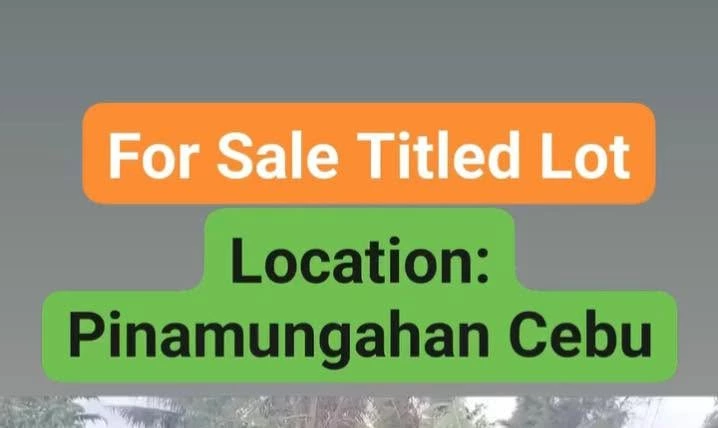 Agricultural Lot for Sale Near Tutay Elementary School, Pinamungahan — 10315 sqm — Agricultural Lot in Pinamungahan, Cebu, 6039 — Photo 7