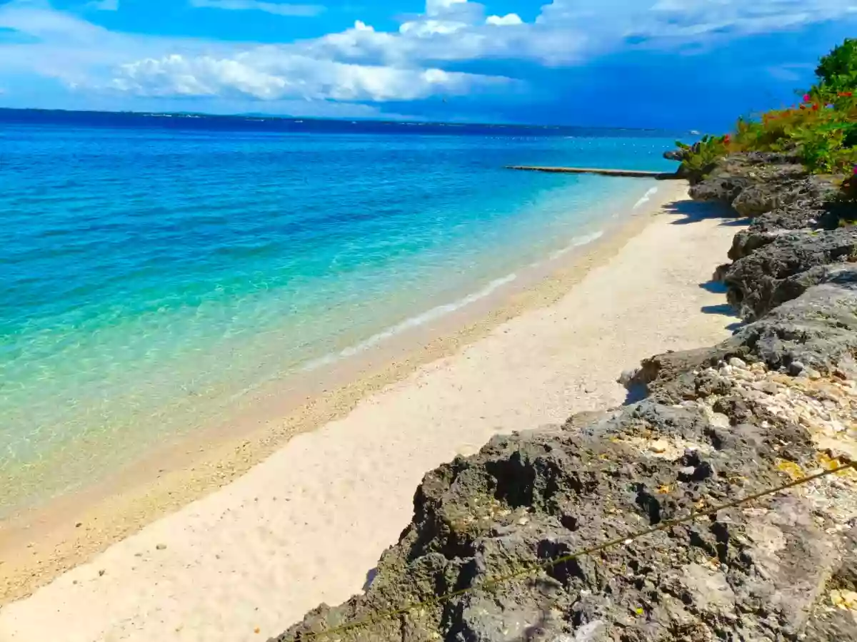 FOR SALE: The Reef Mactan Studio Condo in Mactan, Cebu — Investor Unit — Studio in Mactan, Lapu-lapu City, Cebu — Photo 2