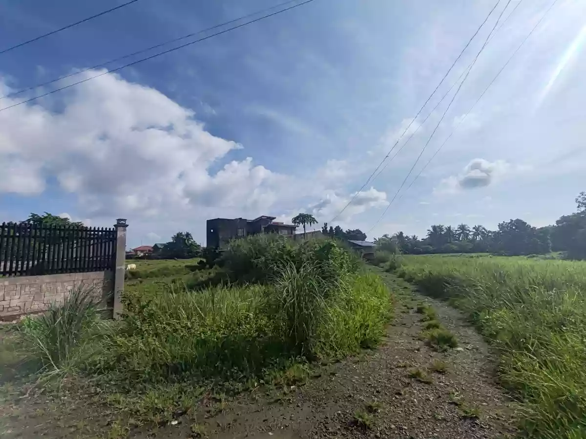 RESIDENTIAL LOT FOR SALE SURIGAO CITY — Residential Lot in Surigao City, Surigao del Norte, 8400 — Photo 2