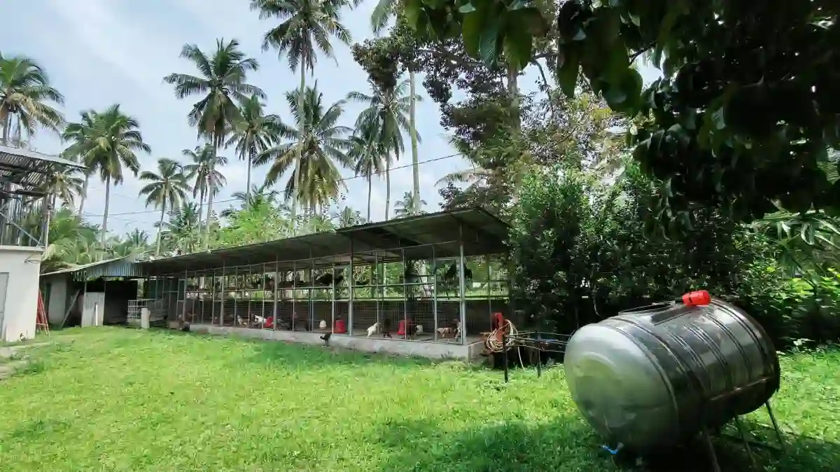 Open photo 25 of 25 — For Sale: Agricultural Lot in Polonuling, Tupi — 20000 sqm