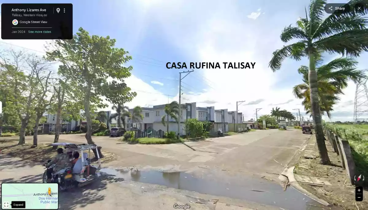 FOR SALE: Agricultural Land in Dos Hermanas, Talisay — 173,243 sqm — Agricultural Lot in Talisay, Negros Occidental, 6115 — Photo 3
