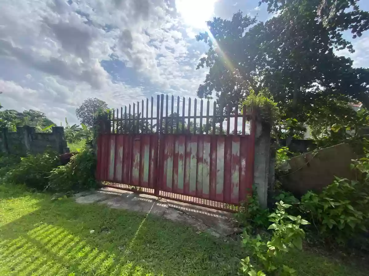 Rush Sale: 2000 sqm Agricultural Lot in Indangan, Davao City
