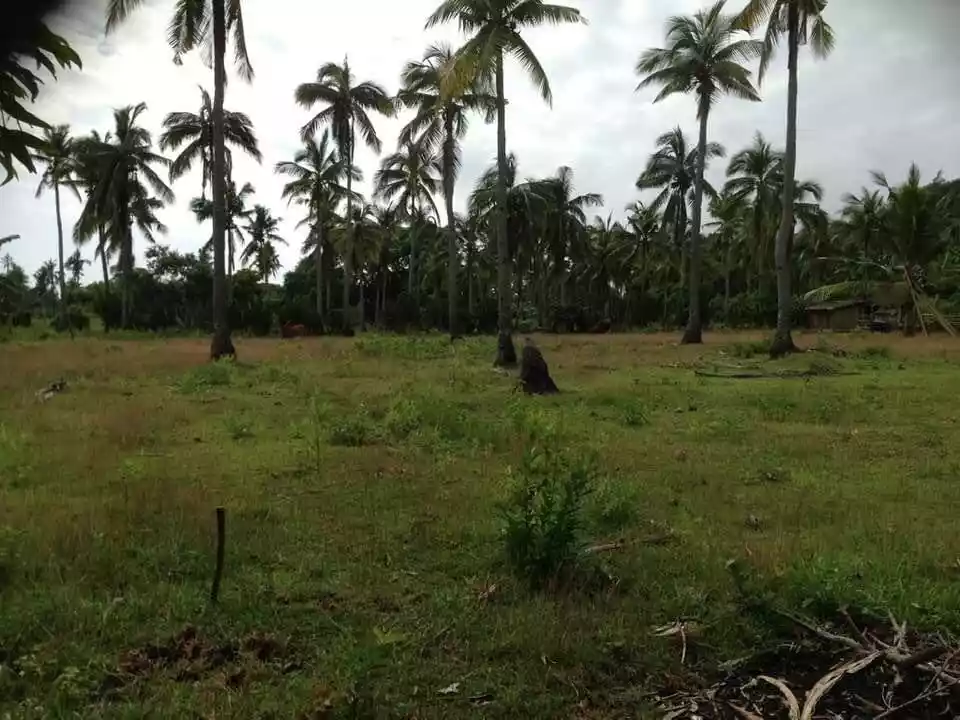 For Sale: 23491 sqm Agricultural Lot in Alobo, Santa Cruz — Agricultural Lot in Santa Cruz, Marinduque, 4902 — Photo 2