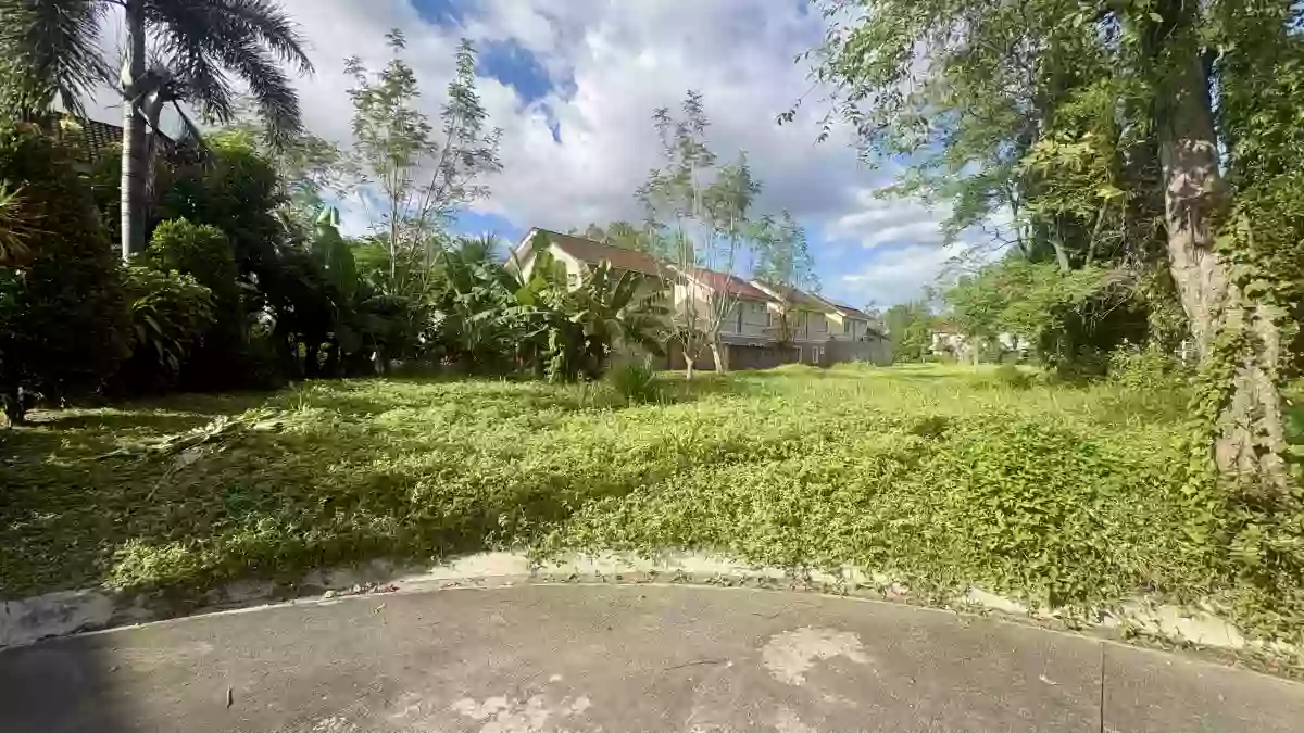 For Sale: Residential Lot in Panipuan, Mexico, Pampanga — 336 sqm