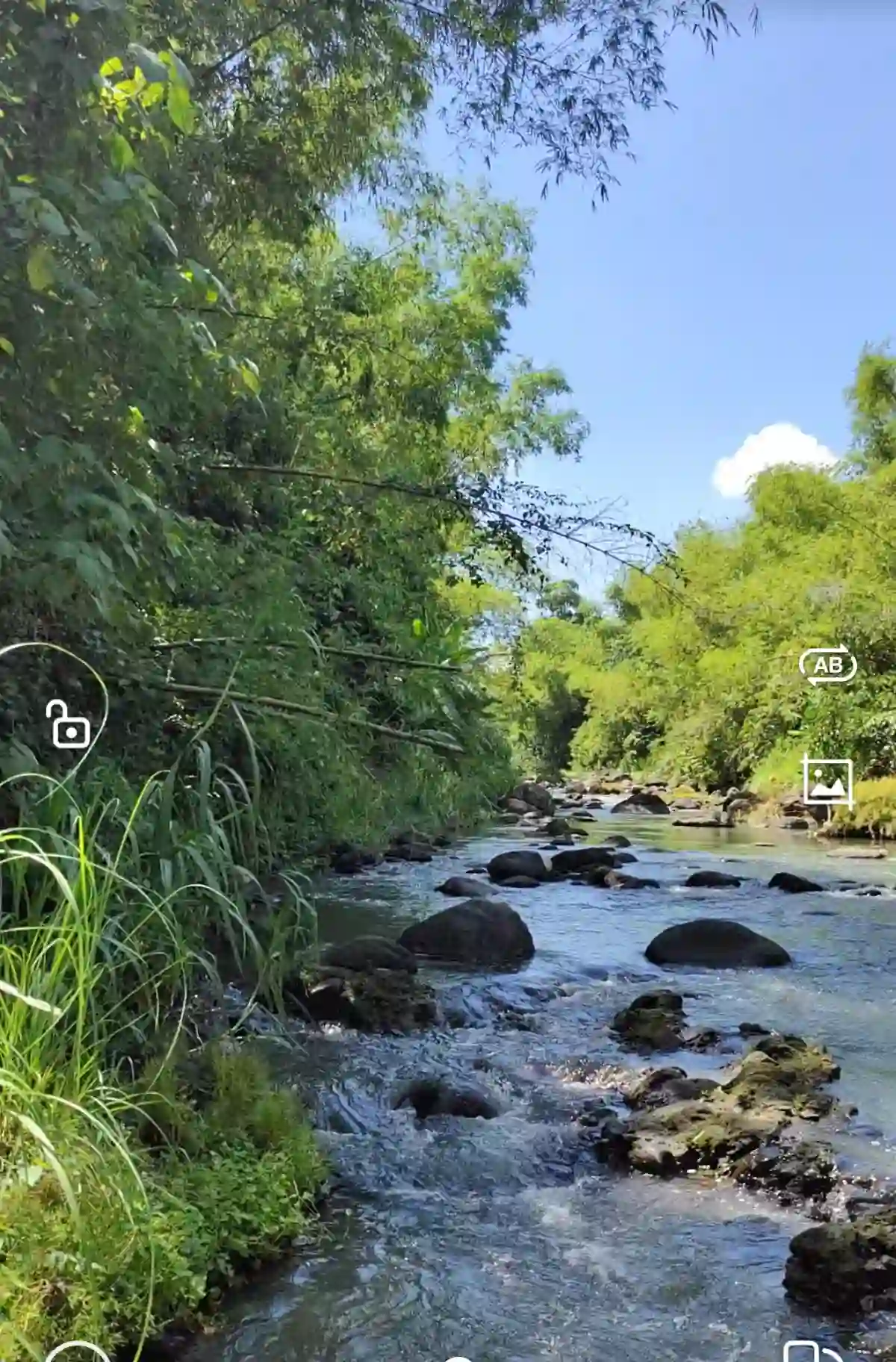 Open photo 10 of 13 — For Sale: Agricultural Lot in Eustaquio Lopez, Silay City — 34240 sqm