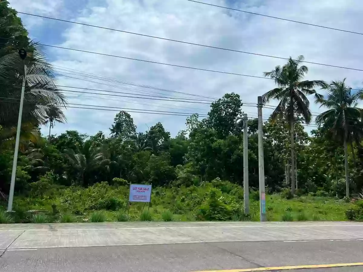 For Sale: Agricultural Lot in Soriano, Cabadbaran City — 3226 sqm