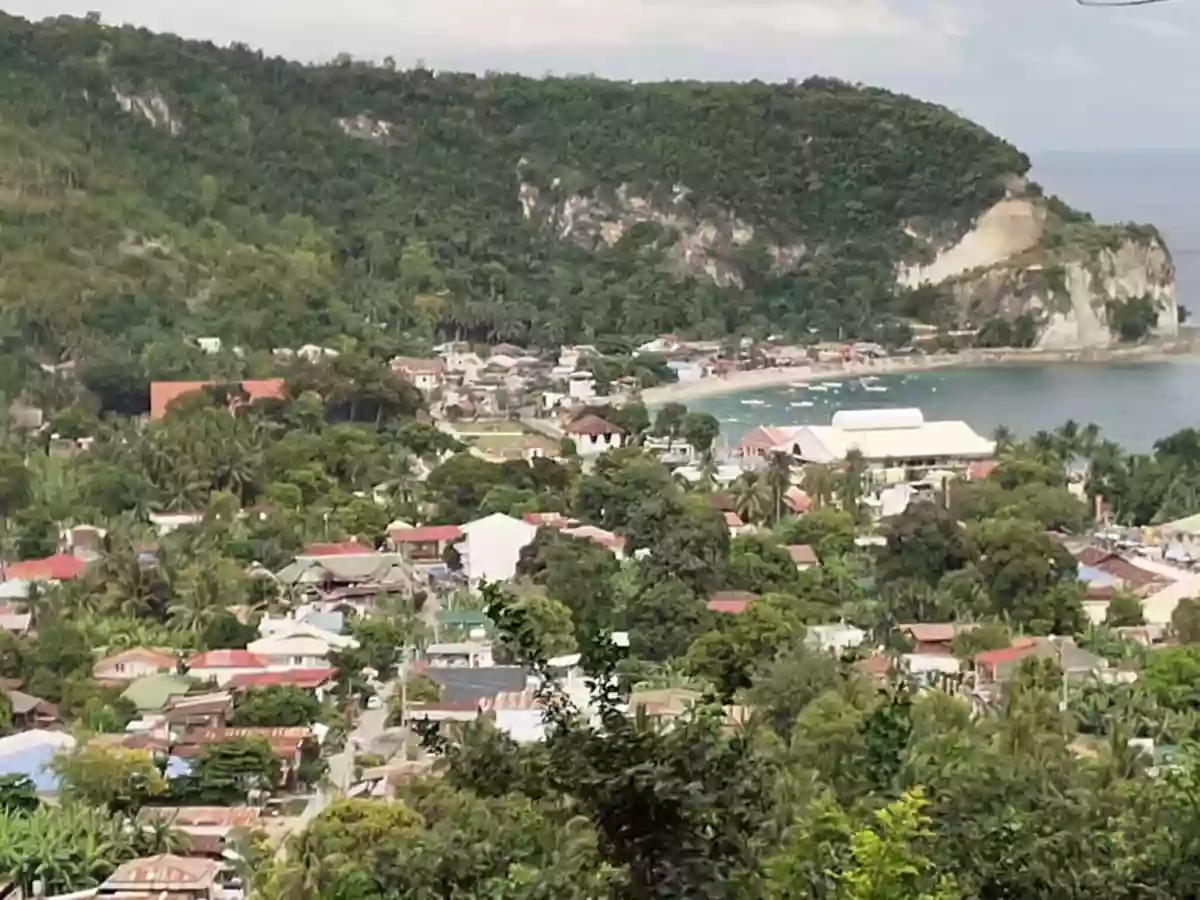 For Sale: Residential Lot in Poblacion, Boljoon, Cebu — Residential Lot in Boljoon, Cebu, 6024 — Photo 3