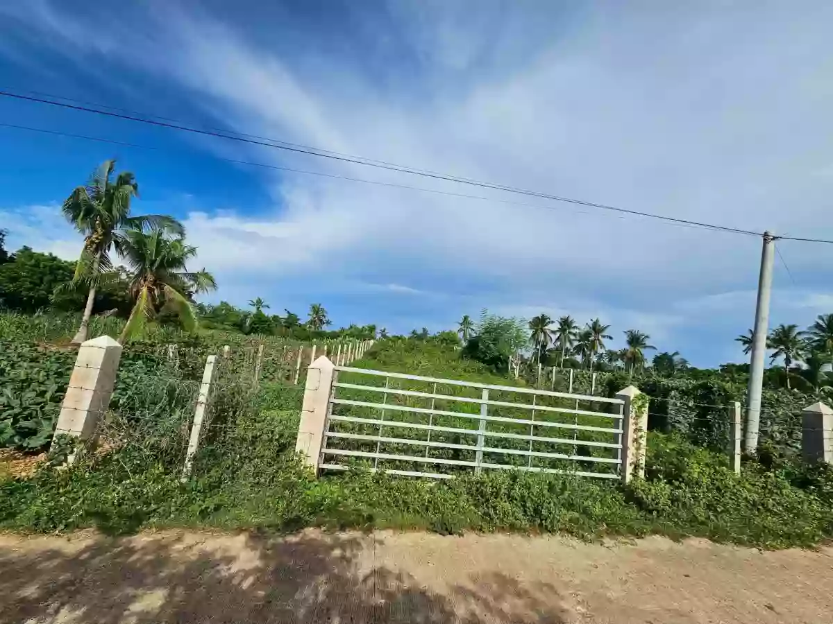 For Sale: Residential Lot in Sinai, Laguindingan — 500 sqm — Residential Lot in Laguidingan, Misamis Oriental, 9019 — Photo 2