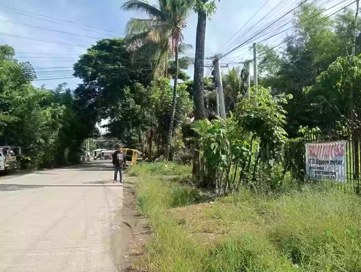 For Sale : 720sqm Lot in Batangan, Valencia — Agricultural Lot in Batangan, Valencia, Bukidnon — Photo 2
