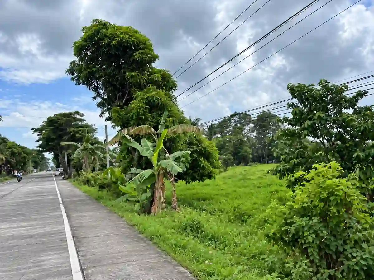 For Sale: Residential Lot 2,000 sqm in Himaao, Pili — Residential Lot in Pili, Camarines Sur, 4418 — Photo 5