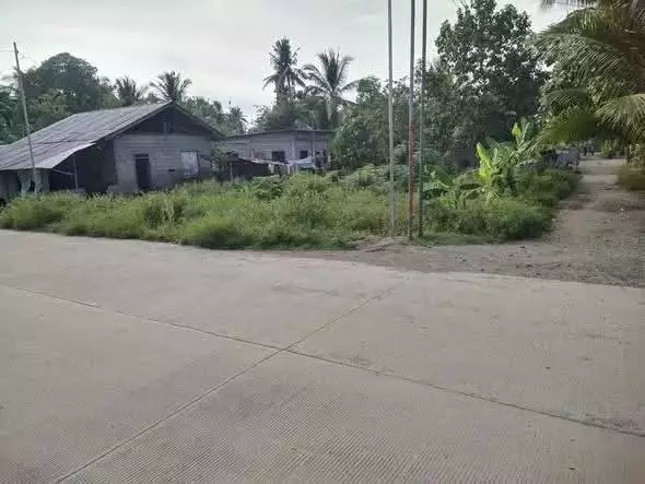 Lot For Sale: Ligaya, GSC - photo 2