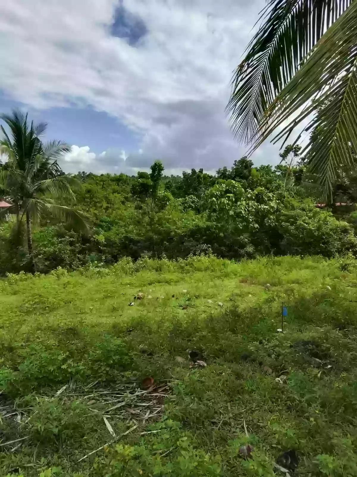 For Sale: Residential Lot in Magsaysay, Polomolok — 300 sqm — Residential Lot in Magsaysay, Polomolok, South Cotabato — Photo 3