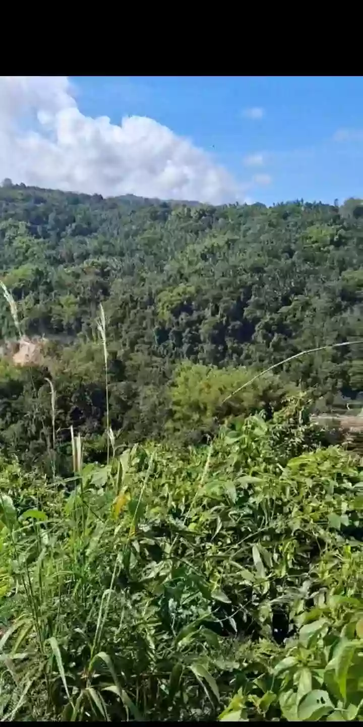 For Sale: Residential Lot in Palinpinon, Valencia, Negros Oriental — 456 sqm — Residential Lot in Palinpinon, Valencia, Negros Oriental — Photo 2