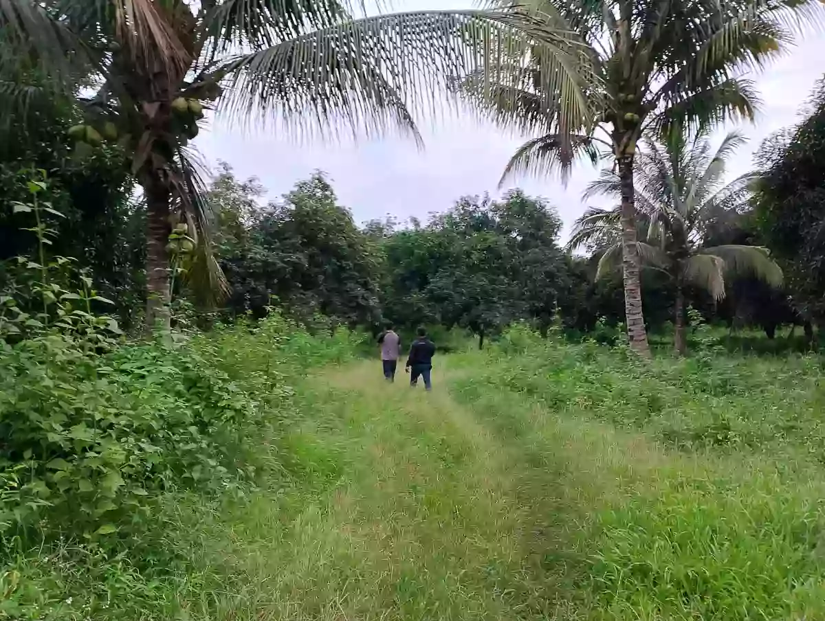 For Rent: Agricultural Lot in Upper Klinan, Polomolok — 10000 sqm — Agricultural Lot in Polomolok, South Cotabato, 9504 — Photo 4