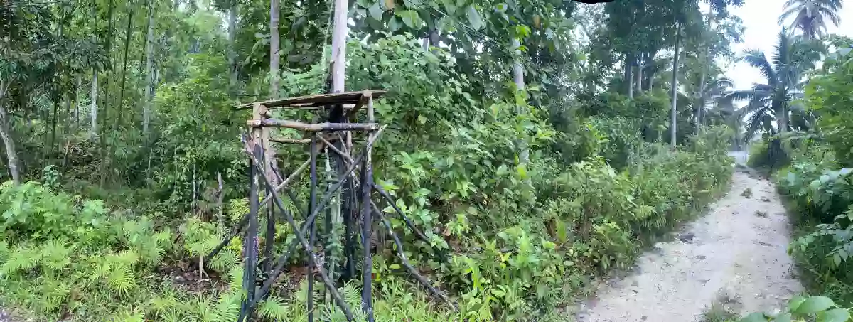 Lot For Sale in Campagao, Bilar, Bohol — Residential Lot in Loay Interior Road, Campagao, Bilar — Photo 3