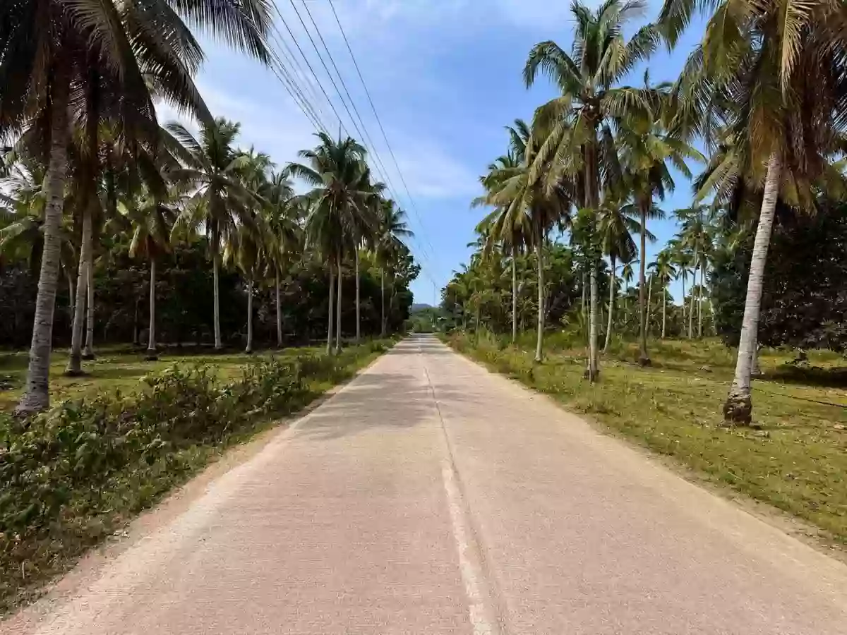 FOR SALE: Agricultural Lot Near Samal Beaches, San Remigio, Samal — 42000 sqm — Agricultural Lot in Samal, Davao del Norte, 8119 — Photo 4