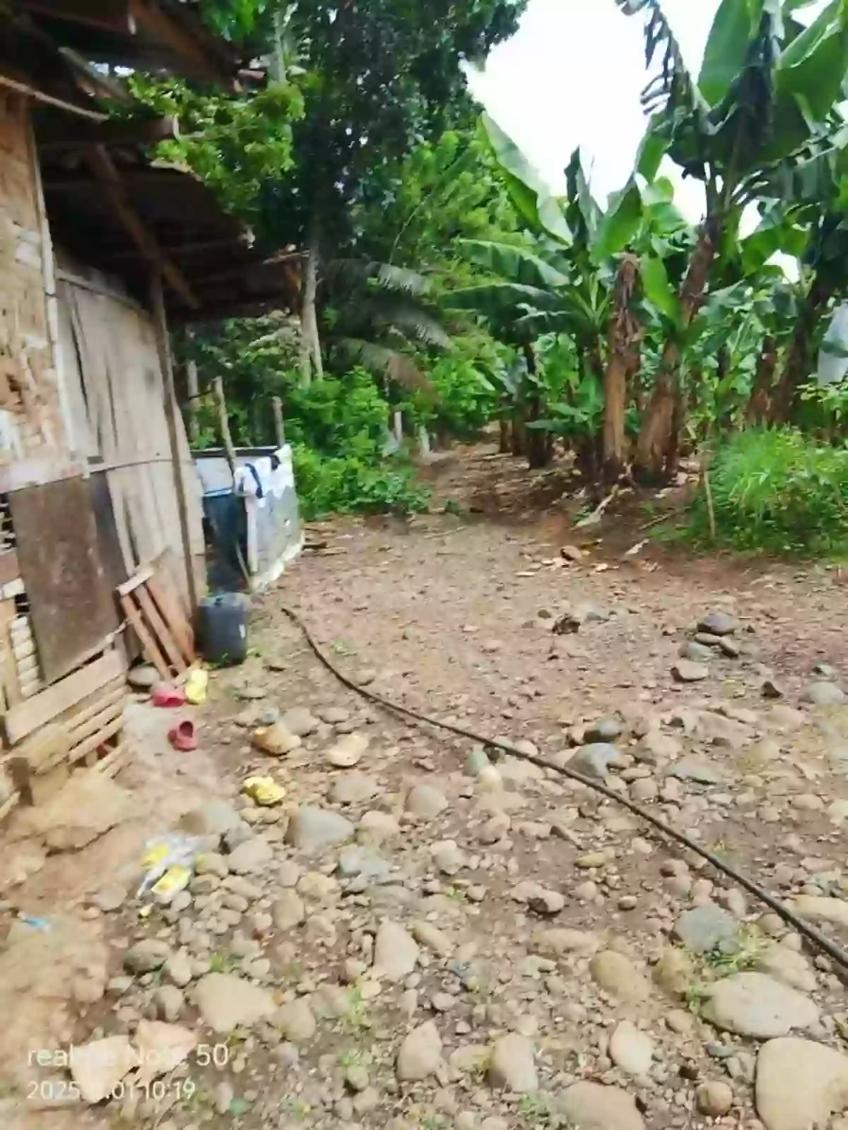 For Sale Agricultural Lot in Tagakpan, Davao City — investment land — Agricultural Lot in Davao City, Davao del Sur, 8000 — Photo 2