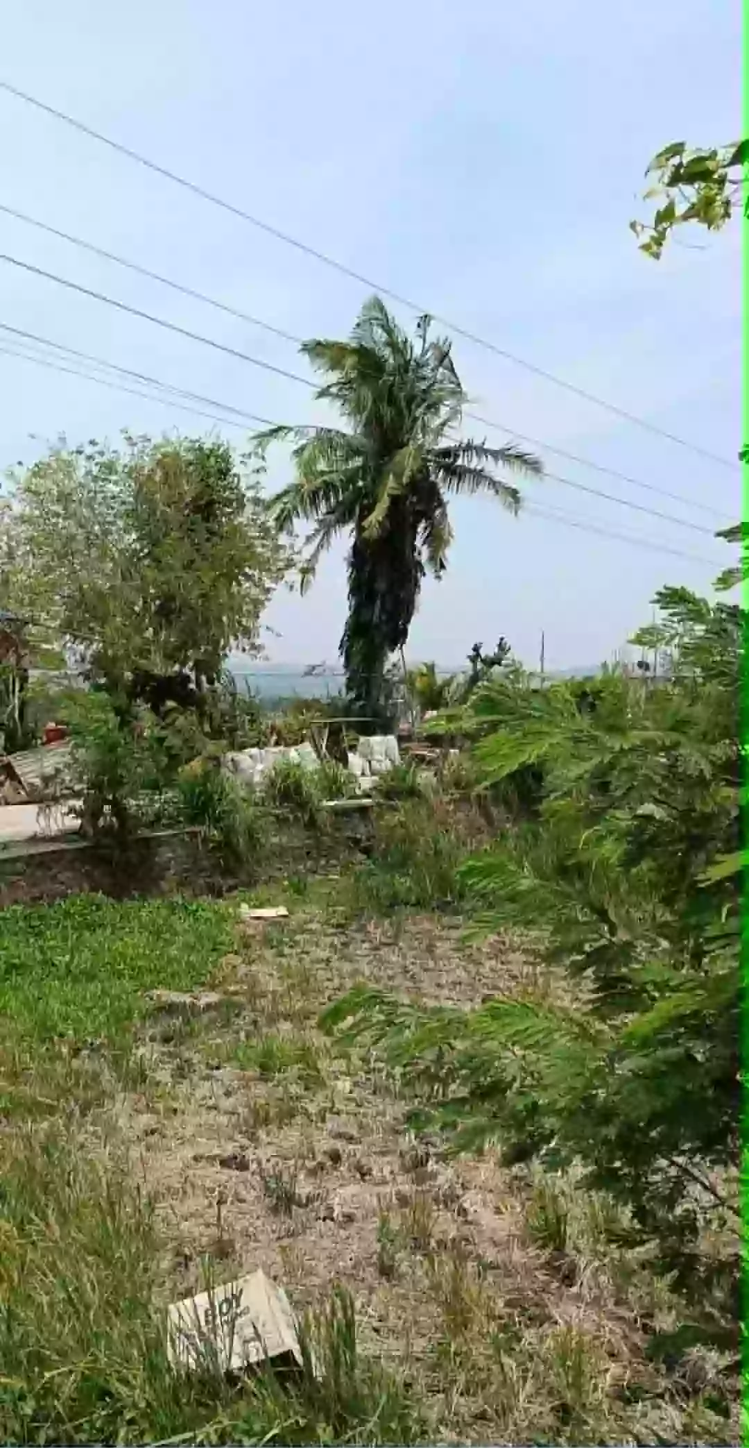 Commercial and Residential Lot for Sale! — Agricultural Lot in Cagmanaba, Ocampo, Camarines Sur — Photo 2
