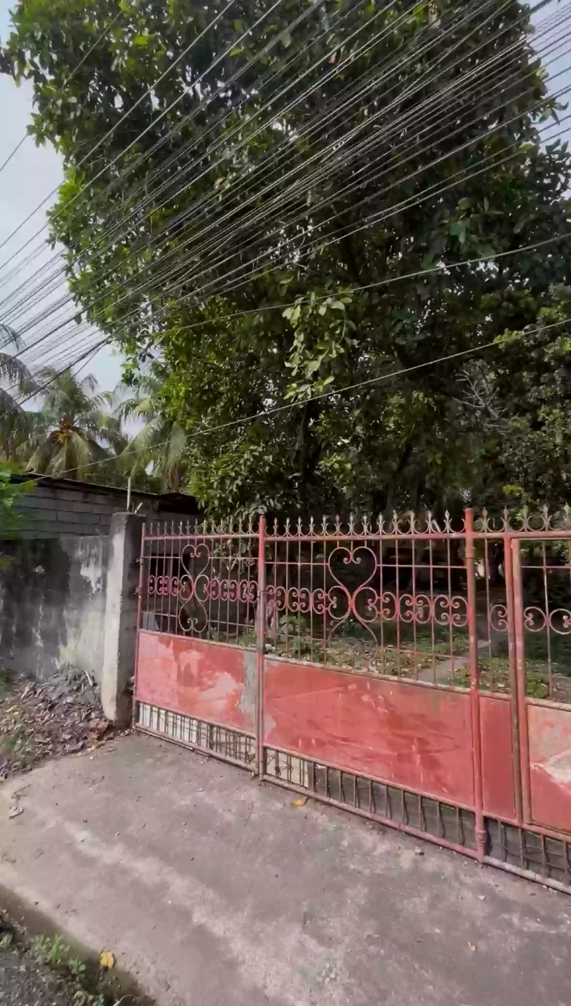 For Sale: Residential Lot in Lagao, General Santos City — 245 sqm — Residential Lot in General Santos City, South Cotabato, 9500 — Photo 3