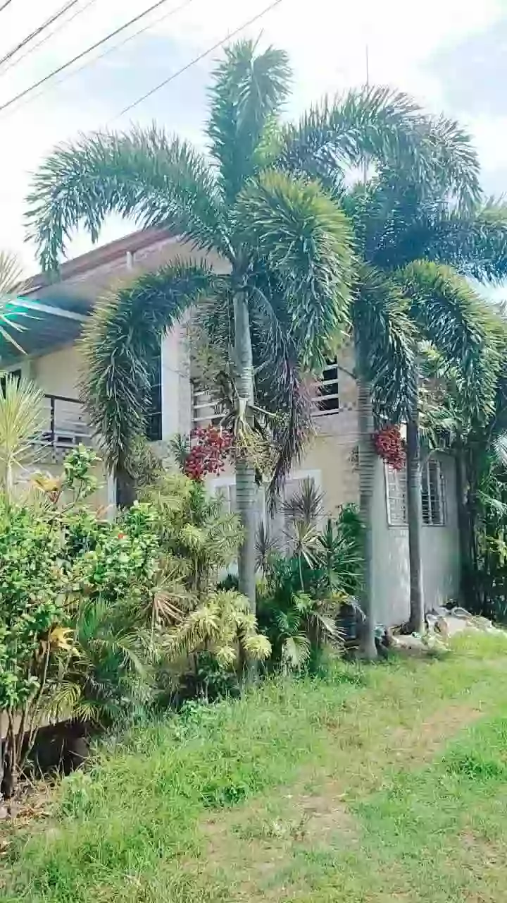 For Sale: 5BR House and Lot in San Pedro, Puerto Princesa City — 230 sqm — House and Lot in Wescom Road, San Pedro, Puerto Princesa City — Photo 3