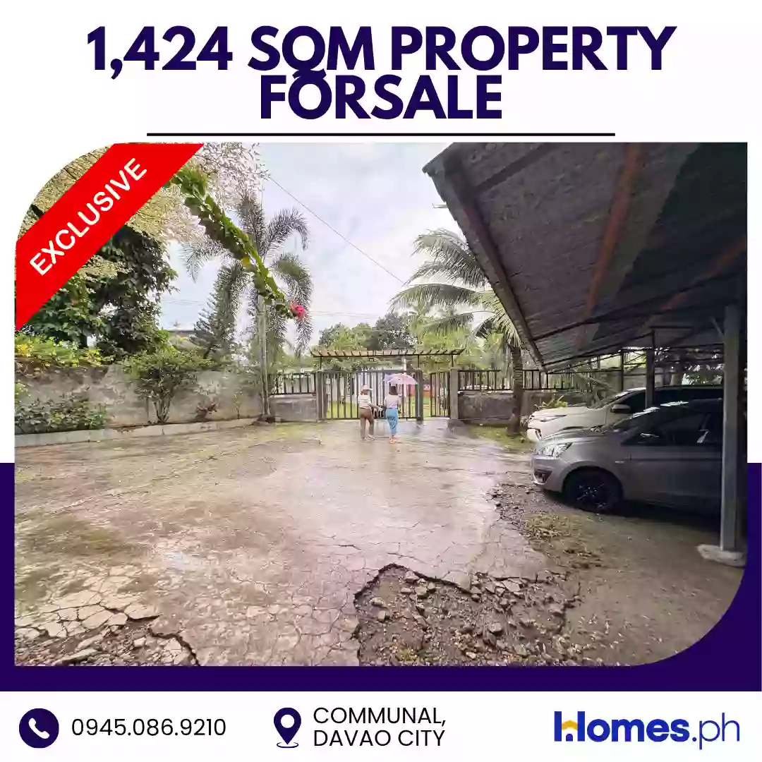 For Sale: House and Lot in Communal, Davao City — 1,424 sqm — House and Lot in Davao City, Davao del Sur, 8000 — Photo 2