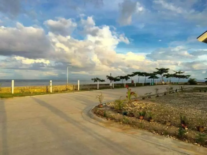 FOR SALE: ONE-STOREY SINGLE DETACHED HOUSE AND LOT AT ARGAO ROYAL PALMS - photo 2