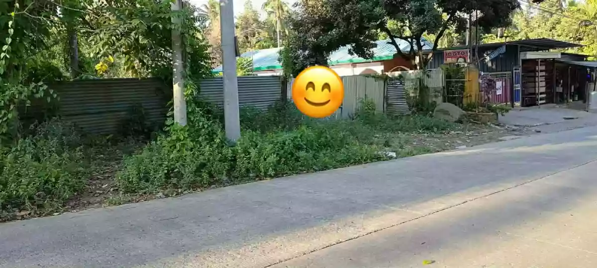 FOR SALE: Commercial Lot in Tugbok (Pob.), Davao City — 3333 sqm — Commercial Lot in Davao City, Davao del Sur, 8000 — Photo 7