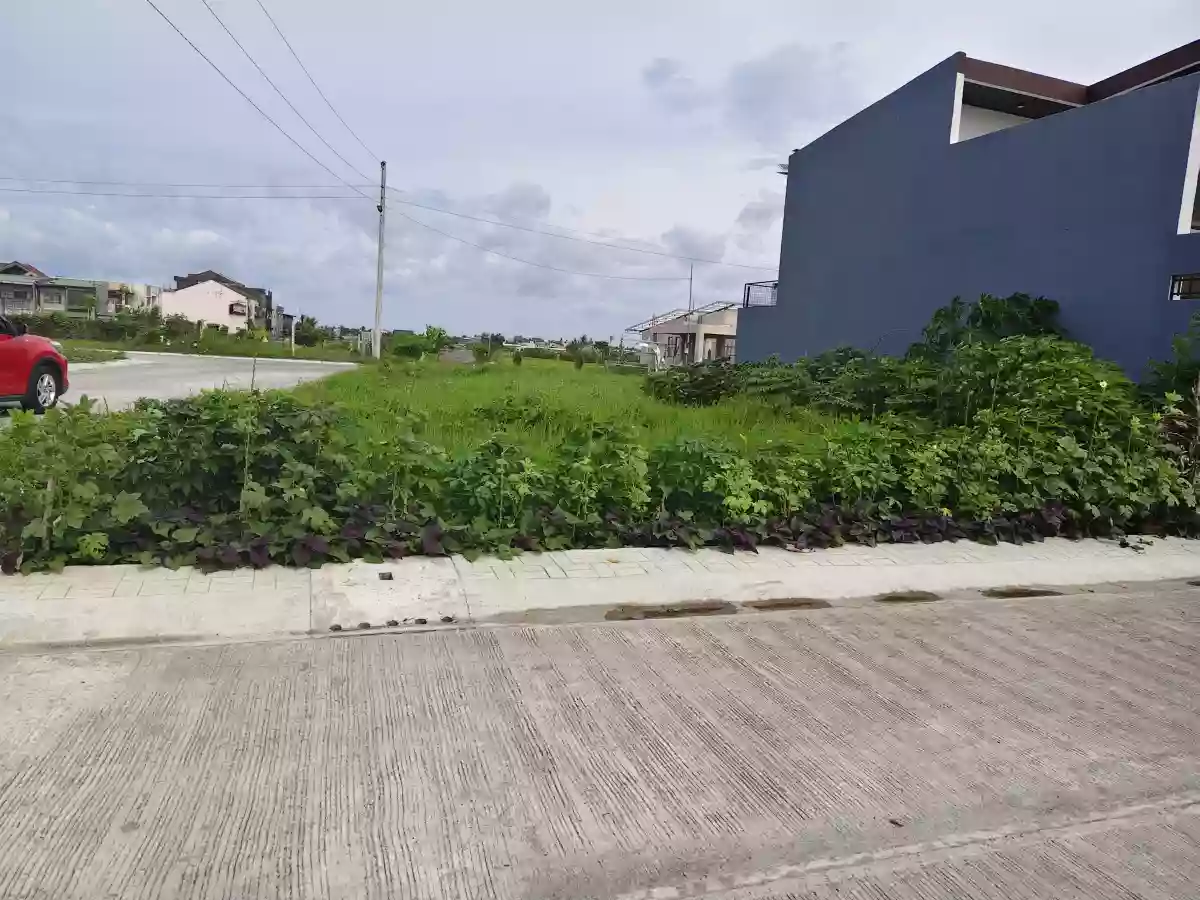 LOT FOR SALE — Residential Lot in Naga City, Camarines Sur, 4400 — Photo 3