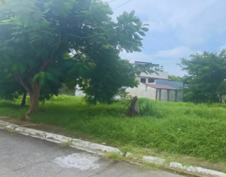 For Sale: Residential Lot in Aniban I, Bacoor — 482 sqm — Residential Lot in Aniban I, Bacoor, Cavite — Photo 5