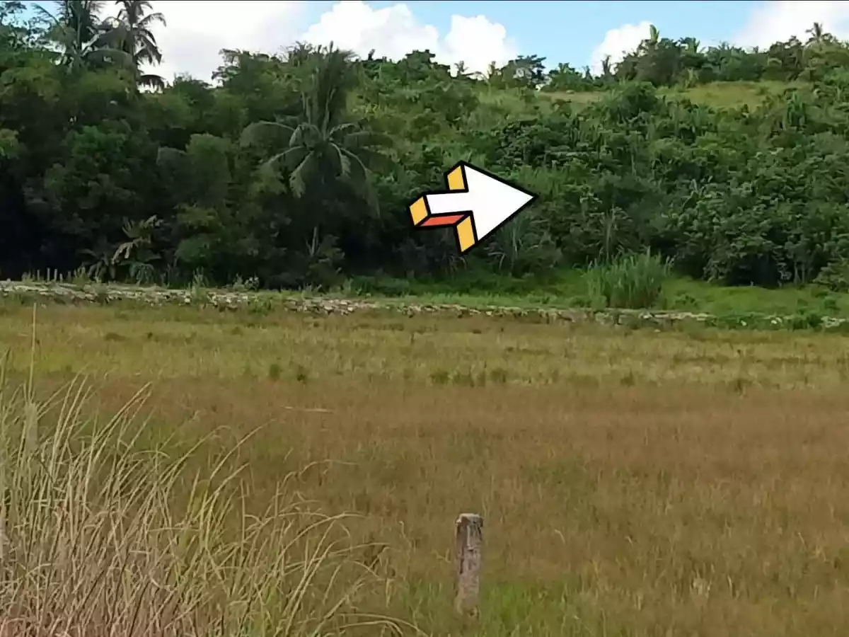 For Sale: Agricultural Lot in Serna, Surigao City — 12748 sqm — Agricultural Lot in Surigao City, Surigao del Norte, 8400 — Photo 3