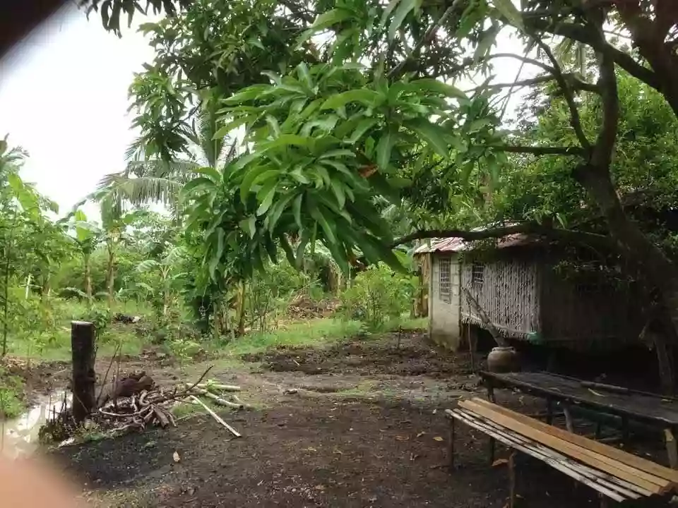 For Sale: 23491 sqm Agricultural Lot in Alobo, Santa Cruz — Agricultural Lot in Santa Cruz, Marinduque, 4902 — Photo 3